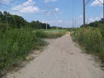 wiggins trail on power lines in holbrook