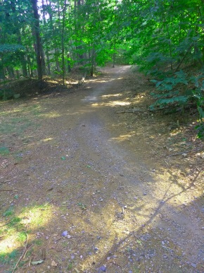 Intersection on Holly Pond trail.