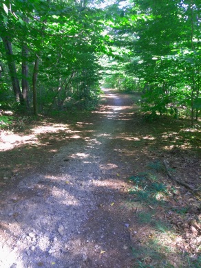 Pleasant multi purpose trail from the Campground to Holly Pond and beyond at Wompatuck State Park.