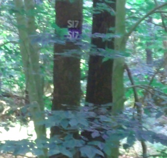 Trail marker leading to Holly Pond at Wompatuck State Park.