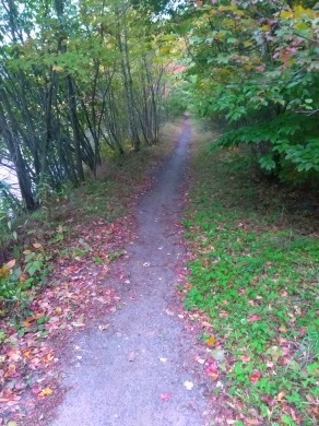 Trail leading from Holly Pond to Campground at Wompatuck State Park.