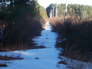 indian crossway through the cedar swamp