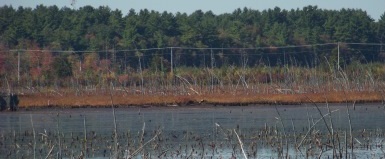 view of indian crossway from burrage pond