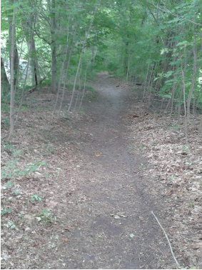 early part of the hiking trail on indian head trail in hanover