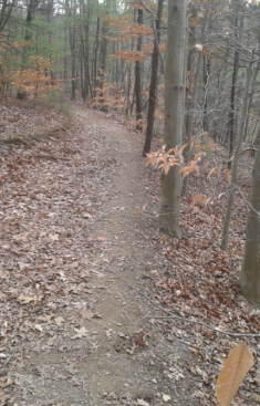 winding and climbing indian head trail