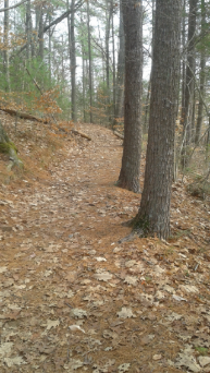 hiking trail high above indian head river