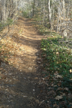 narrow portion of indian head trail