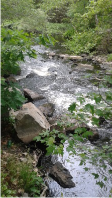 one of many small rapids on indian head river