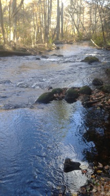 small rapids on Indian Head River