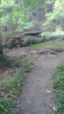 connector trail leading to rock overlooking the indian head river