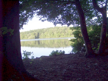 pond view from forest at jacobs pond conservation