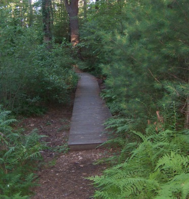 boardwalk trail at jacobs pond