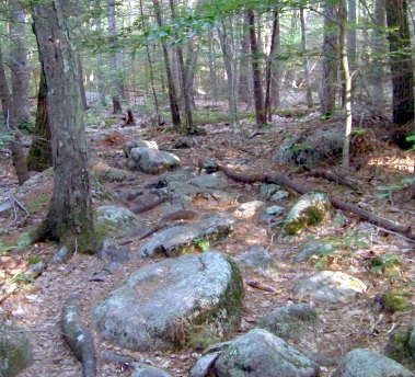 glacial til at jacobs pond in norwell