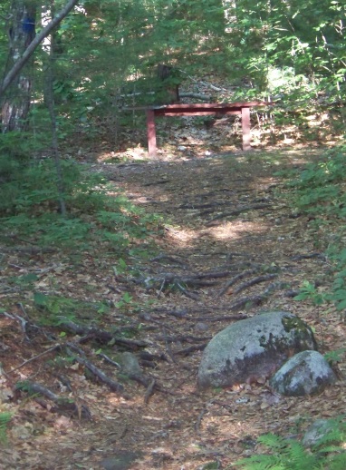 bench along hiking trail at jacobs pond conservation area