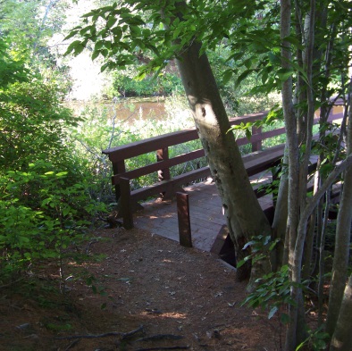 cliff prentiss bridge from the jacobs pond trail