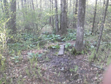 damp area on john sherman path