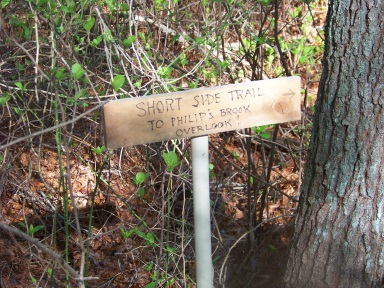 side trail to Phillips Brook overlook