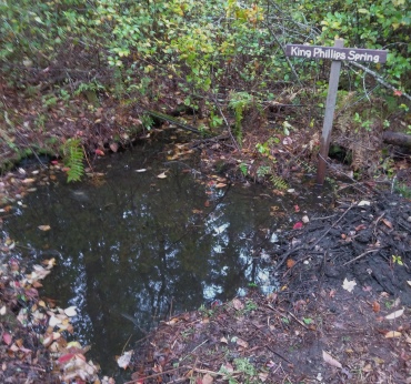 King Phillips Spring in Lansing Bennett Forest.