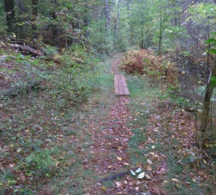 Plank walk alongside Phillips Brook.