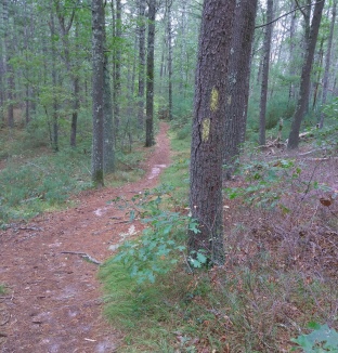 Yellow double blazed hiking trail indicates a turn to the right.