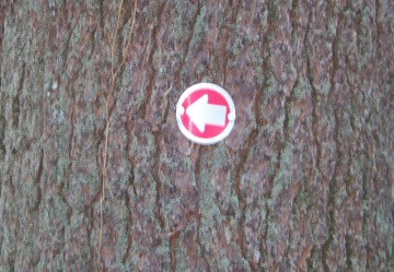 arrow marker in little conservation area