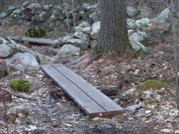 planking over wet areas at little conservation in marshfield