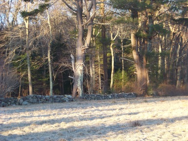 field at little conservation in marshfield