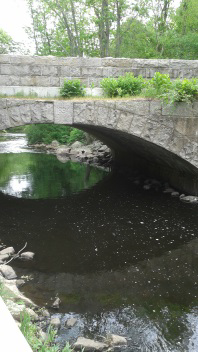 looking under the bridge on elm st at luddams ford park