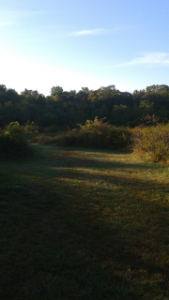 meadow at lower end of Centennial Park in Norwell