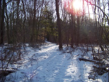 peaceful hike at mckenna marsh