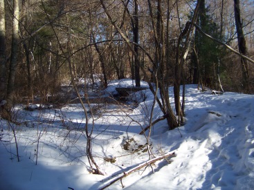 trail leading up higher ground