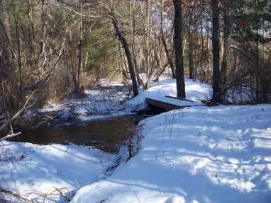 another bridge on far side of mckenna marsh