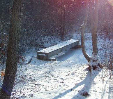 bridge at marsh in mckenna marsh