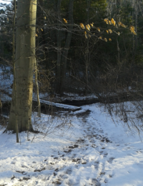 bridge across Drinkwater River at Melzar Hatch Reservation