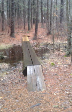 double planks through a wet area at melzar hatch reservation