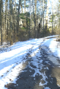 country road connecting the high school with middle school at melzar hatch reservation