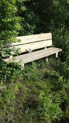 The river side bench at misty meadows conservation area