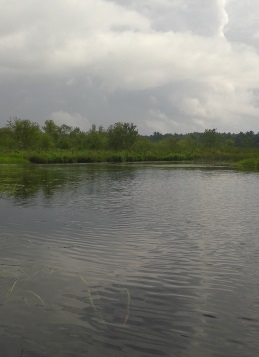 Indian Head River heading toward the junction with Herring Brook