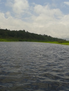 heading down herring brook from the junction of the North River