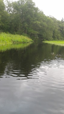A paddle down Herring Brook