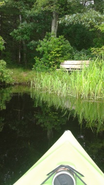 Arriving the Misty Meadow Conservation Area by kayak on Herring Brook