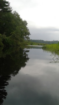 Herring brook leading to misty meadows water access