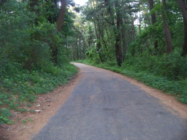 road up to the parking lot at myles standish monument reservation
