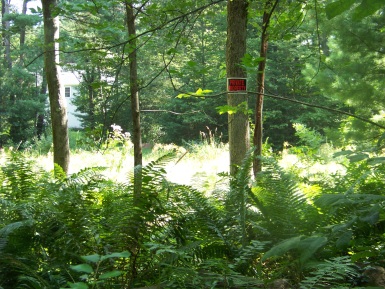 hiking trail of rockland town forest passes by it's neighbors