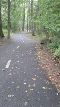 Pathway in Norwell