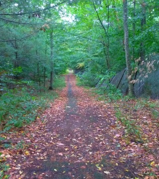 Trail out to picture pond from back gate of Wompatuck State Park.