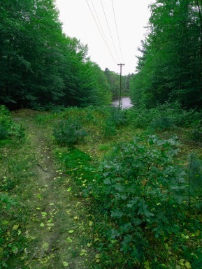 The hiking trail winds through the utility line leading down to Aaron Reservoir.