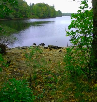 The hiking trail leads down to a beach like area along Aaron Reservoir.