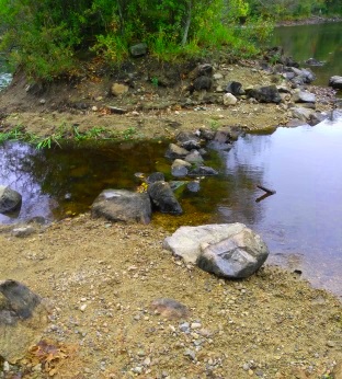 stepping stones across the water to a small island.