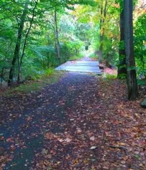 The footbridge on the hiking trail to Picture Pond at Wompatuck State Park.